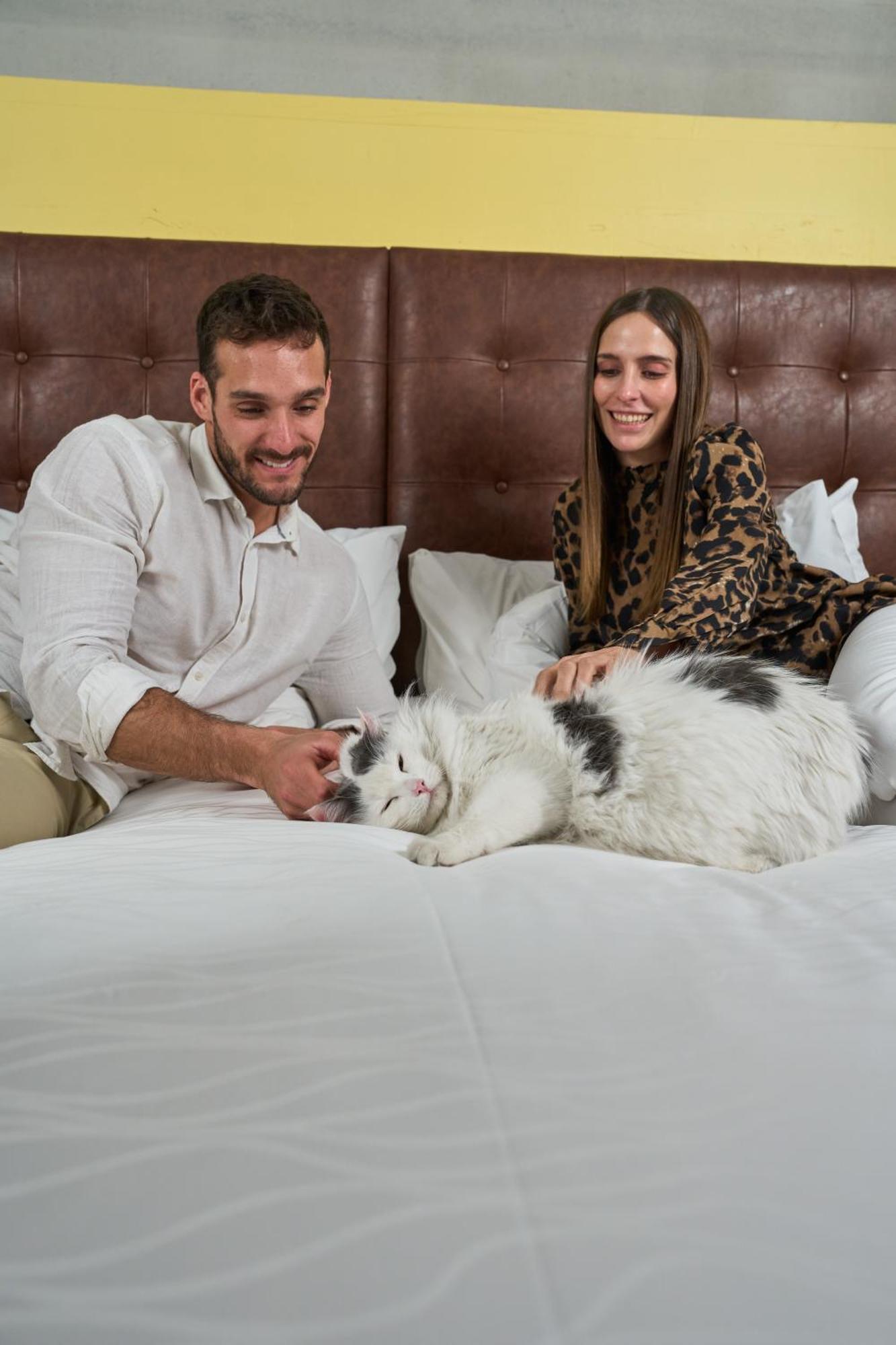 Pullman Santiago El Bosque Hotell Eksteriør bilde A cat with its owners